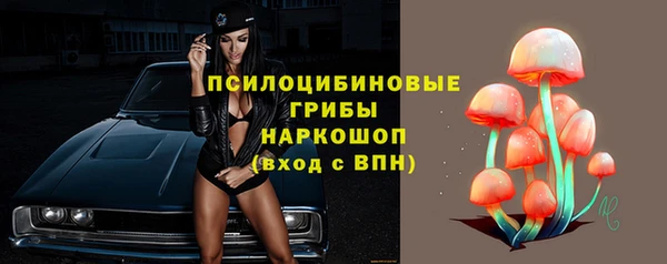 спиды Козловка