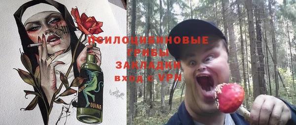 амф Корсаков