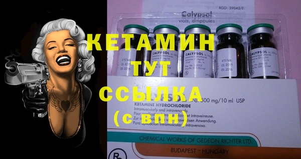 молекула духа Кулебаки